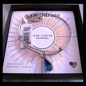 Alex and Ani Charm Bangle with Swarovski Crystal